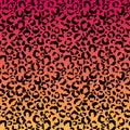 Funky Leopard Print on Gradient Background Royalty Free Stock Photo