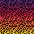 Funky Leopard Print on Gradient Background