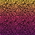 Funky Leopard Print on Gradient Background Royalty Free Stock Photo