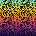 Funky Leopard Print on Gradient Background Royalty Free Stock Photo