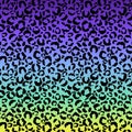 Funky Leopard Print on Gradient Background Royalty Free Stock Photo