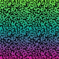 Funky Leopard Print on Gradient Background Royalty Free Stock Photo