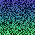 Funky Leopard Print on Gradient Background