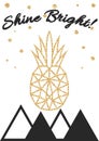 Glitter shimmery pineapple print with shine bright