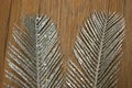 Glitter silver feather wood background