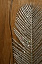 Glitter silver feather wood background