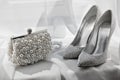 Glitter silver shoes and clutch bag Royalty Free Stock Photo