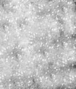 Glitter vintage lights background. light grey . defocused. Royalty Free Stock Photo