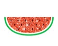 Glitter watermelon icon