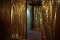 glittering foil curtains in doorway, no attendees