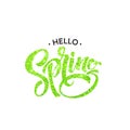 Glittering Hello spring handwritten calligraphy lettering. Vector illustration