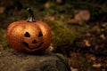 Glittering pumpkin in autumn forest. Halloween mood background