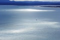 Glistening sea in coastal landscape by blue hour aerial view