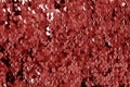 Glittering sequin texture in red tone Royalty Free Stock Photo