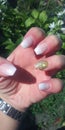 Glitz nails Royalty Free Stock Photo