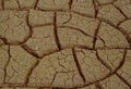 Global Clima Change: Dry earth, no water, desert Royalty Free Stock Photo