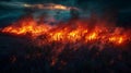 Global crisis: forests ablaze, a dire consequence of escalating wildfires.