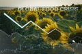 Global food crisis after war decimated a crop of sunflower