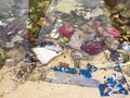 Global garbage on the beach Royalty Free Stock Photo