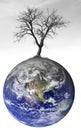 Global warming concept Royalty Free Stock Photo