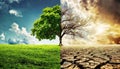 Global Warming Concept - Half Bare and Half Green Tree - Generative Ai Royalty Free Stock Photo