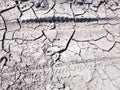 Global warming concept. Dry and arid land. Desiccated cracked ground, soil Royalty Free Stock Photo