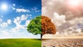 Global warming concept image showing the effect of arid land with tree changing. Concept of climate change. Royalty Free Stock Photo