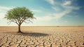 Global warming concept, last green tree on the drought land Royalty Free Stock Photo