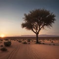 Global warming concept. Lonely dead tree under dramatic evening sunset sky at drought cracked desert landscape made