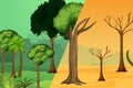 Global warming and deforestation problem concept vector. Before and after global warming effect on trees with green leaves. Jungle