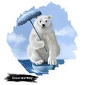 Global warming digital art illustration isolated on white. Polar bear sitting on last ice cliff with umbrella in hands Royalty Free Stock Photo