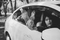 Global warming environmental protection concept,Woman hand holding two plastic bottle on the road,Back and white toned Royalty Free Stock Photo