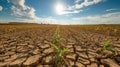 Global Warming field with cracked soil under a bright sun and cloudy sky Royalty Free Stock Photo