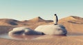 Penguin standing on melting snow in the desert . Royalty Free Stock Photo