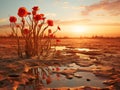 Global Warming\'s Mark: A Dried Landscape Amidst the Hottest Summer