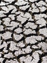 Global warming theme hot dried earth floor background Royalty Free Stock Photo