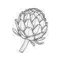 globe artichoke ai generated