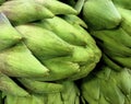 Globe Artichoke, French Artichoke, Green Artichoke Royalty Free Stock Photo