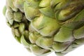 Globe Artichoke Macro