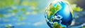 Globe on a background of green grass. Earth Day concept Royalty Free Stock Photo