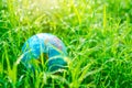 Globe or earth on fresh dew grass with sunlight. Royalty Free Stock Photo