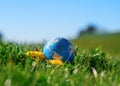 Globe on green grass and yellow dandelions against blue sky. World in the palm of your hand Royalty Free Stock Photo
