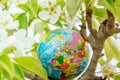 Globe in a flowering tree. Sakura or apple tree flowers. Save the nature. Enviroment. April 22 earth day theme. Summer day,