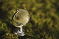 Globe Glass In Green Forest Environment Concept. Royalty Free Stock Photo