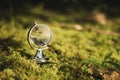 Globe Glass In Green Forest Environment Concept Royalty Free Stock Photo