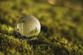 Globe Glass In Green Forest Environment Concept Royalty Free Stock Photo