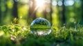 Globe Glass on green grass forest with sunlight. Environment, save world, earth day and conservation Concept. Royalty Free Stock Photo