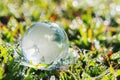 globe glass on green grass with sunshine. eco environment concept Royalty Free Stock Photo