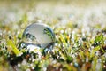 globe glass on green grass with sunshine. eco environment concept Royalty Free Stock Photo