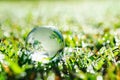globe glass on green grass with sunshine. eco environment concept Royalty Free Stock Photo